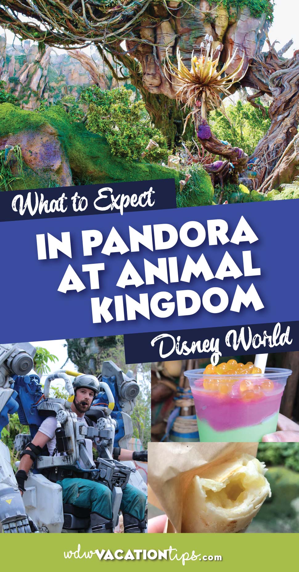 What to Expect at Animal Kingdom's Pandora The World of Avatar • WDW
