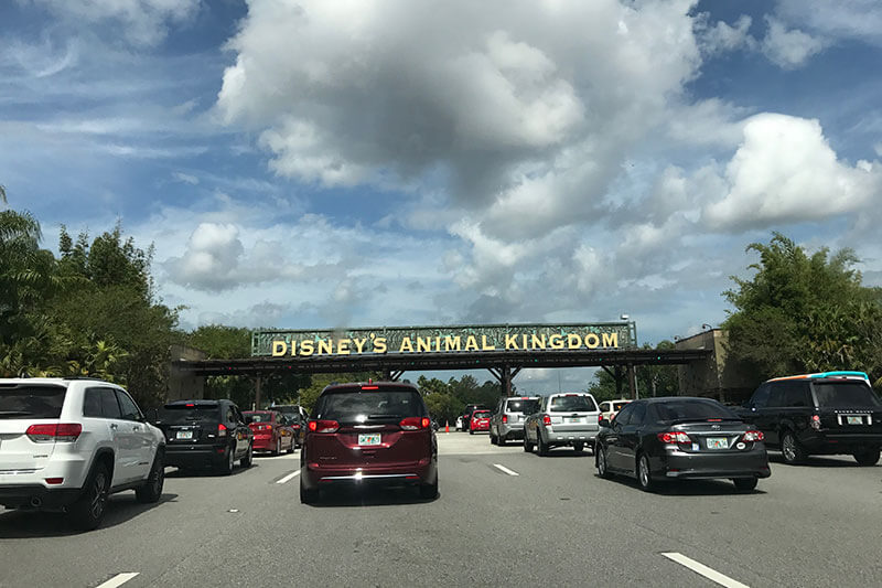 Parking entrance to animal kingdom