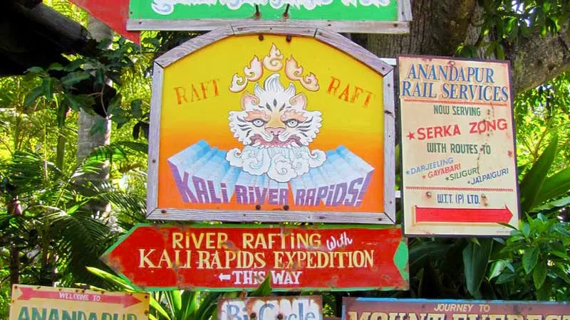 Kali River Rapids Animal KIngdom Walt Disney World