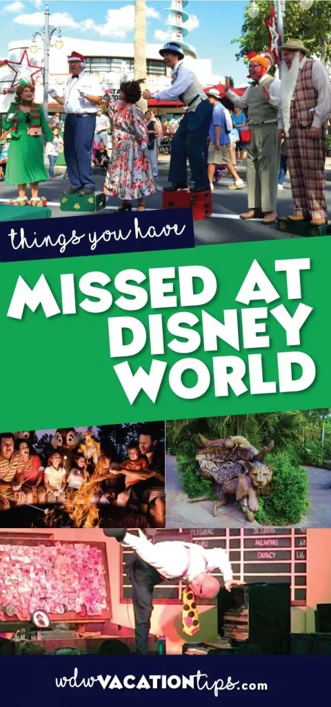 10 Interesting Things You Probably Have Missed at Disney World 3