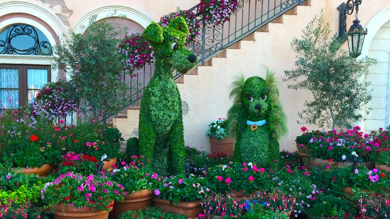 Epcot flower and garden festival topiaries
