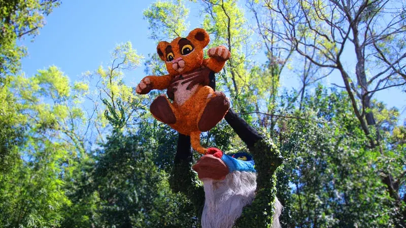 Guide to Disney with Infants