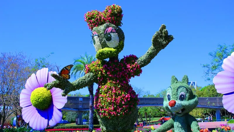 Daisy Epcot Flower and Garden Festival