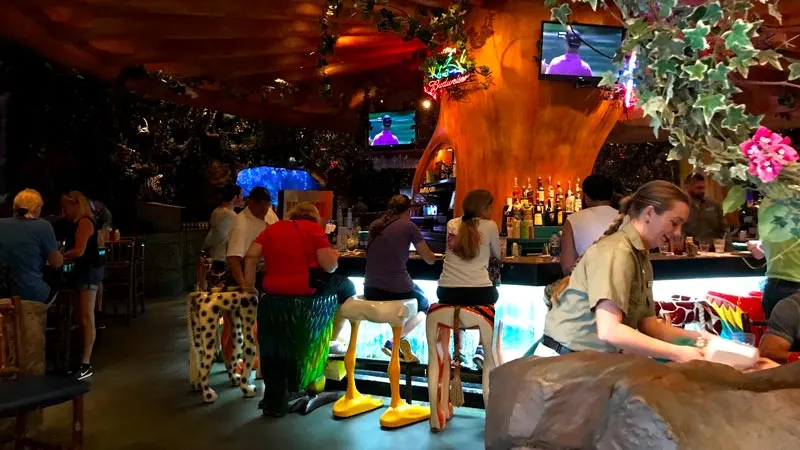 Rainforest Cafe Bar