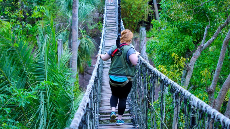 Rope bridge Wild Africa Trek