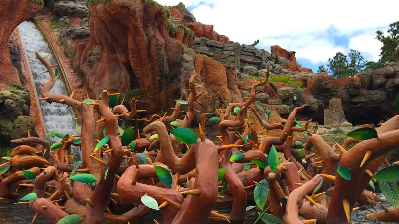 Splash Mountain at Magic Kingdom