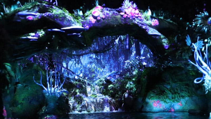 The Many Types of Rides you will Find at Disney World
