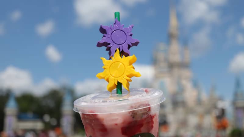 Surviving Disney World Without Plastic Straws 3