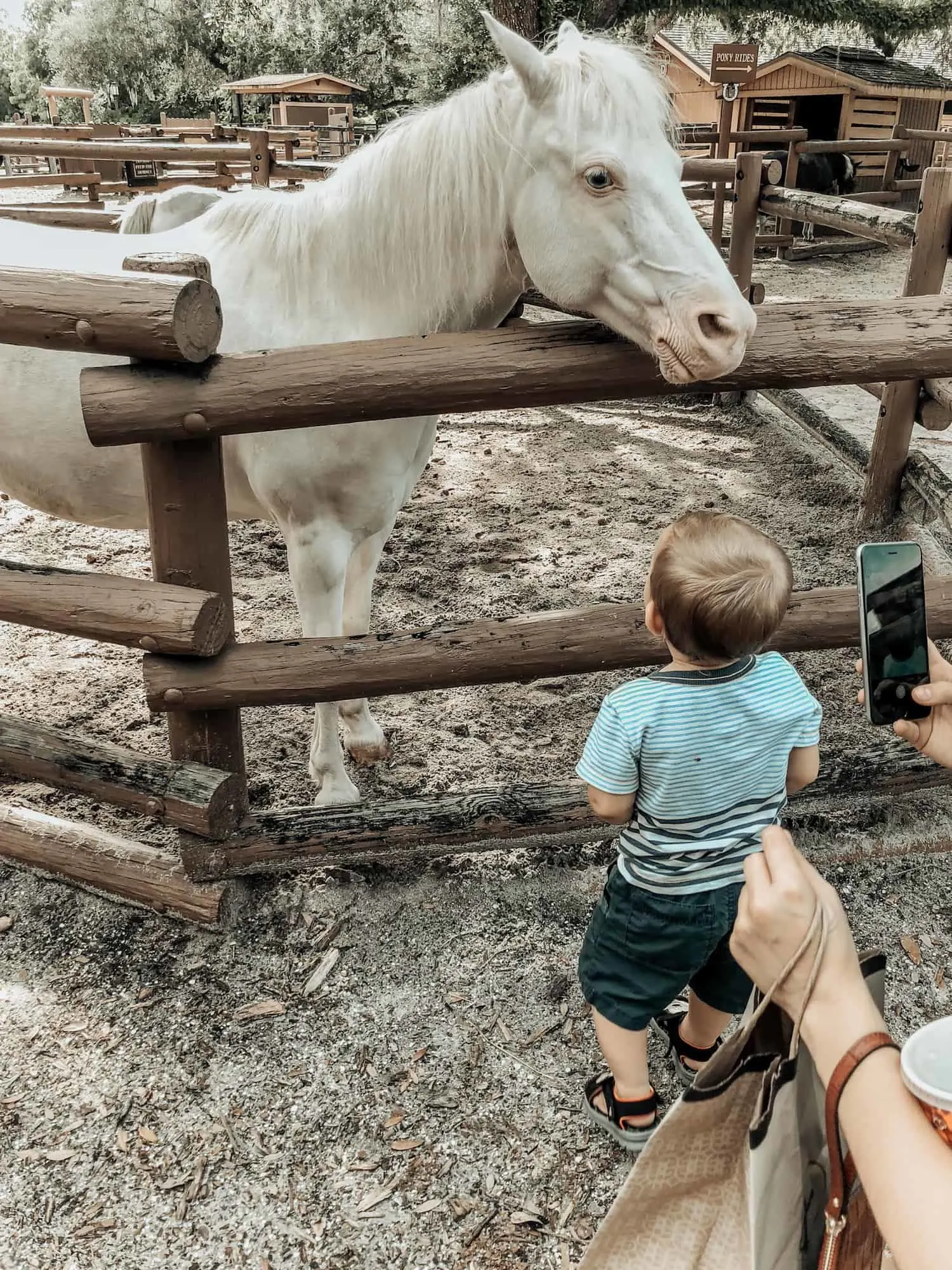 Why Disney's Fort Wilderness Cabins Make for Great Vacations 16