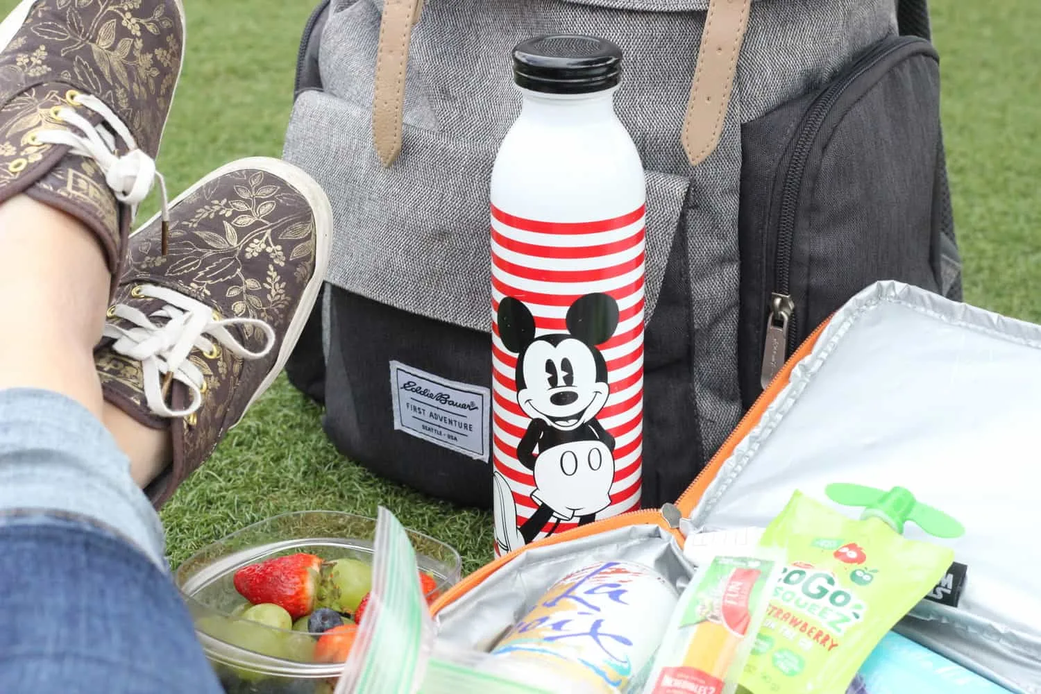 how to picnic with toddlers at disney