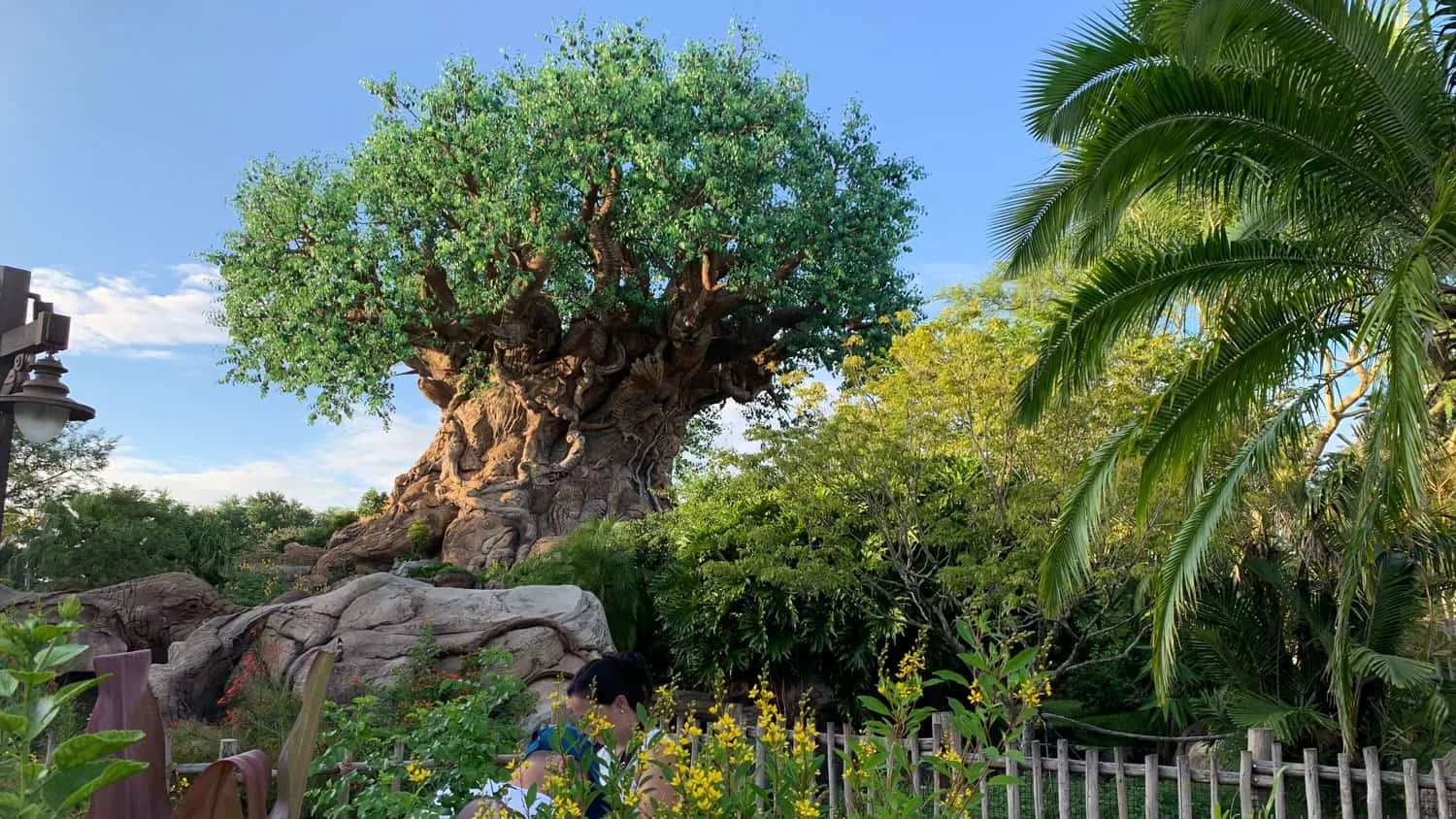 Animal Kingdom • WDW Vacation Tips Animal Kingdom • WDW Vacation Tips