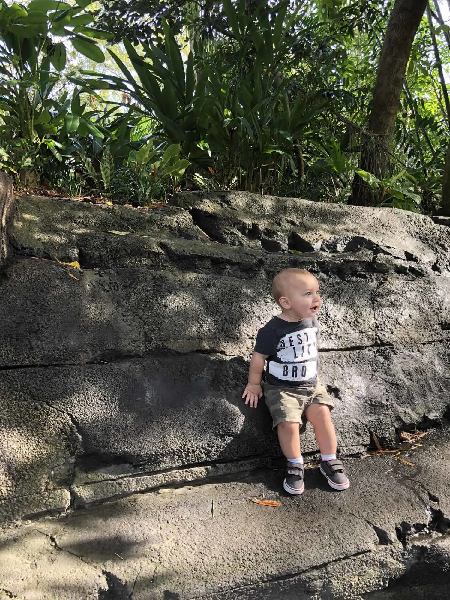 What NOT to do at Disney’s Animal Kingdom with Toddlers