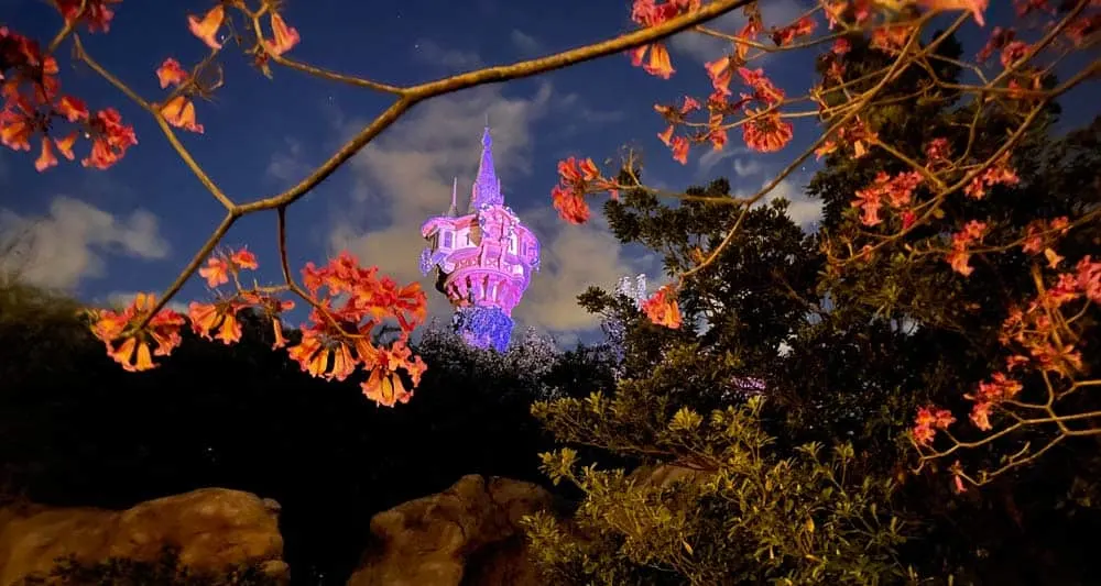 Finding Rapunzel’s Tower at the Magic Kingdom 1