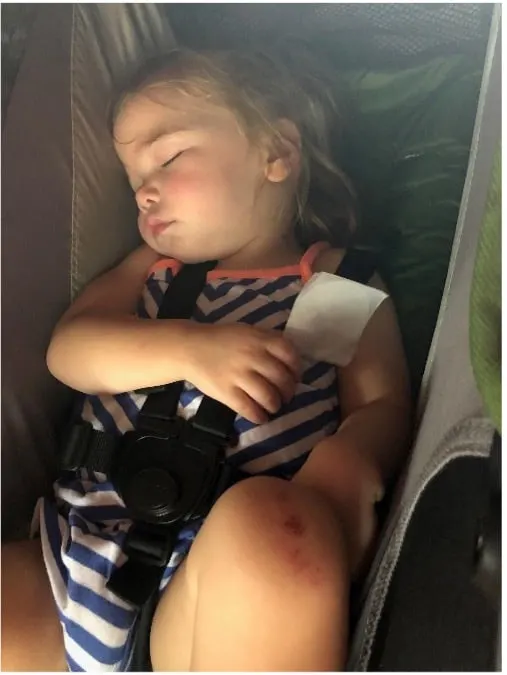 Essential Reminders for Taking Young Children to Disney World 4