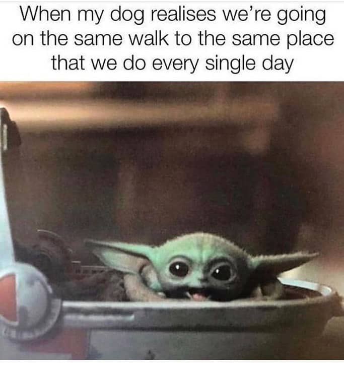 Favorite Funny Baby Yoda Memes 5