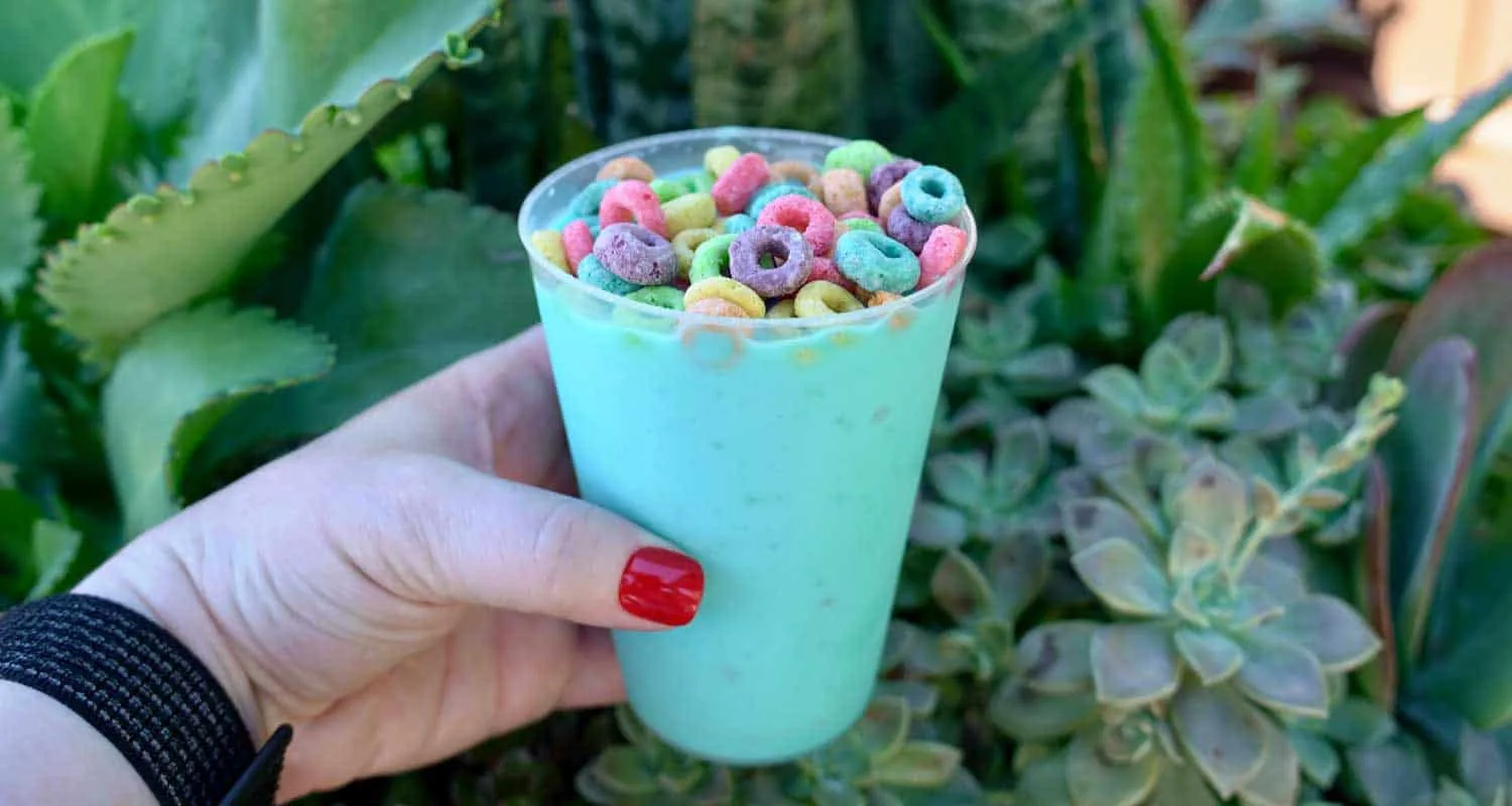 Ultimate Guide to the Best Non-Alcoholic Drinks at Disney World 4