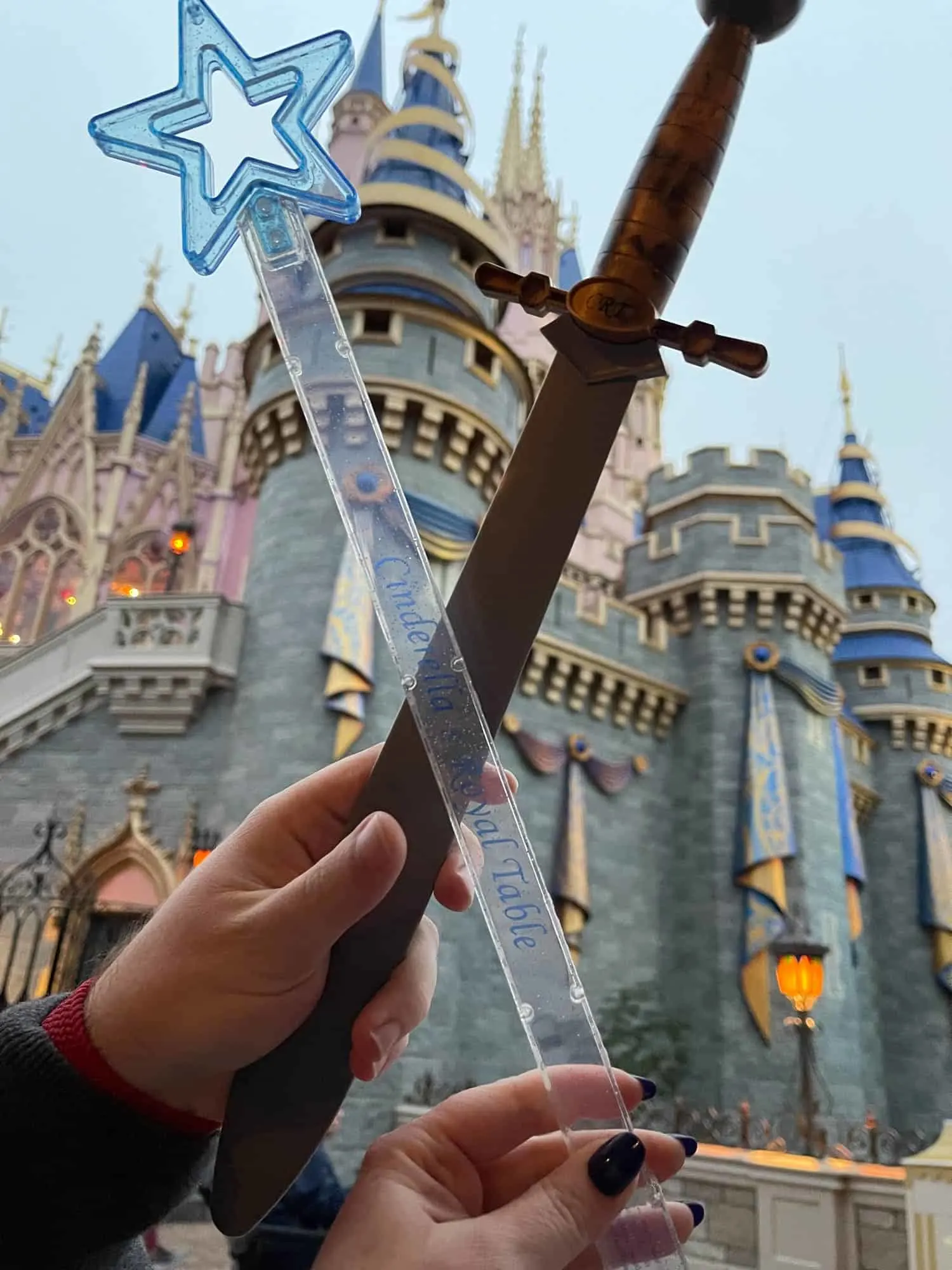 Cinderella's Royal Table Dinner Review 21