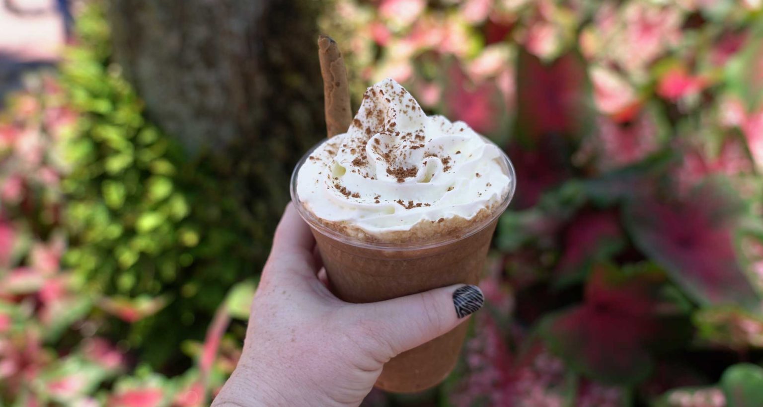 Best Coffee in Disney World BONUS Iced Coffee Throwdown! • WDW