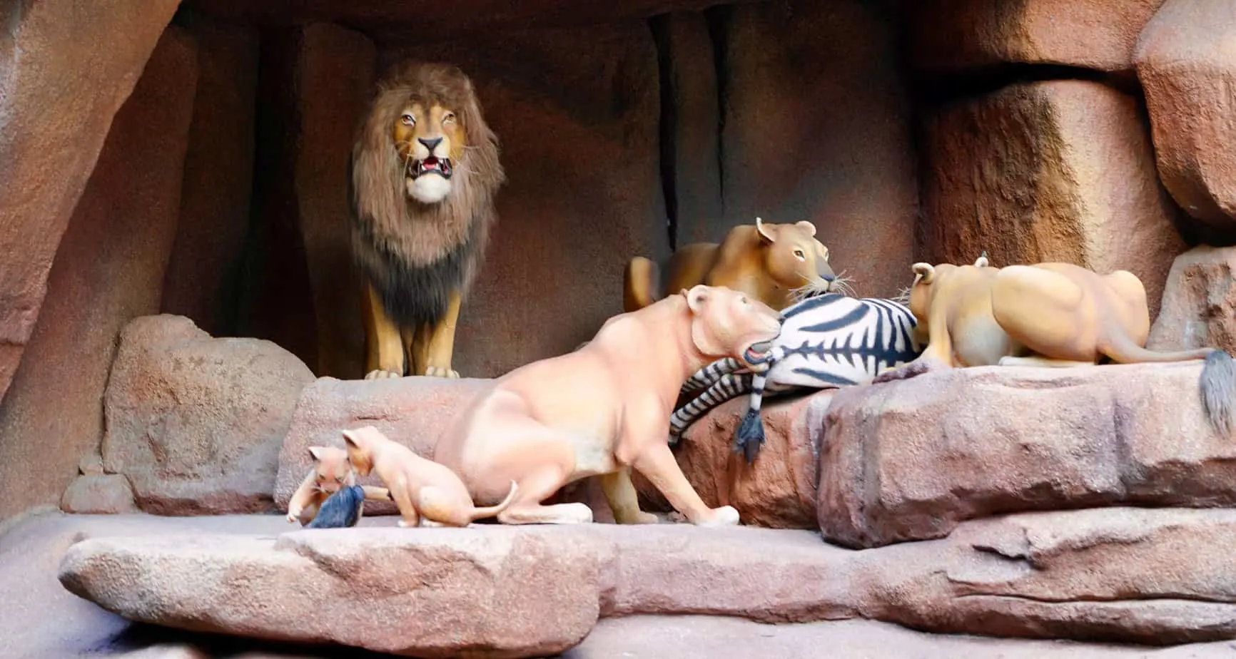 The Ten Best Jungle Cruise Jokes and More 2