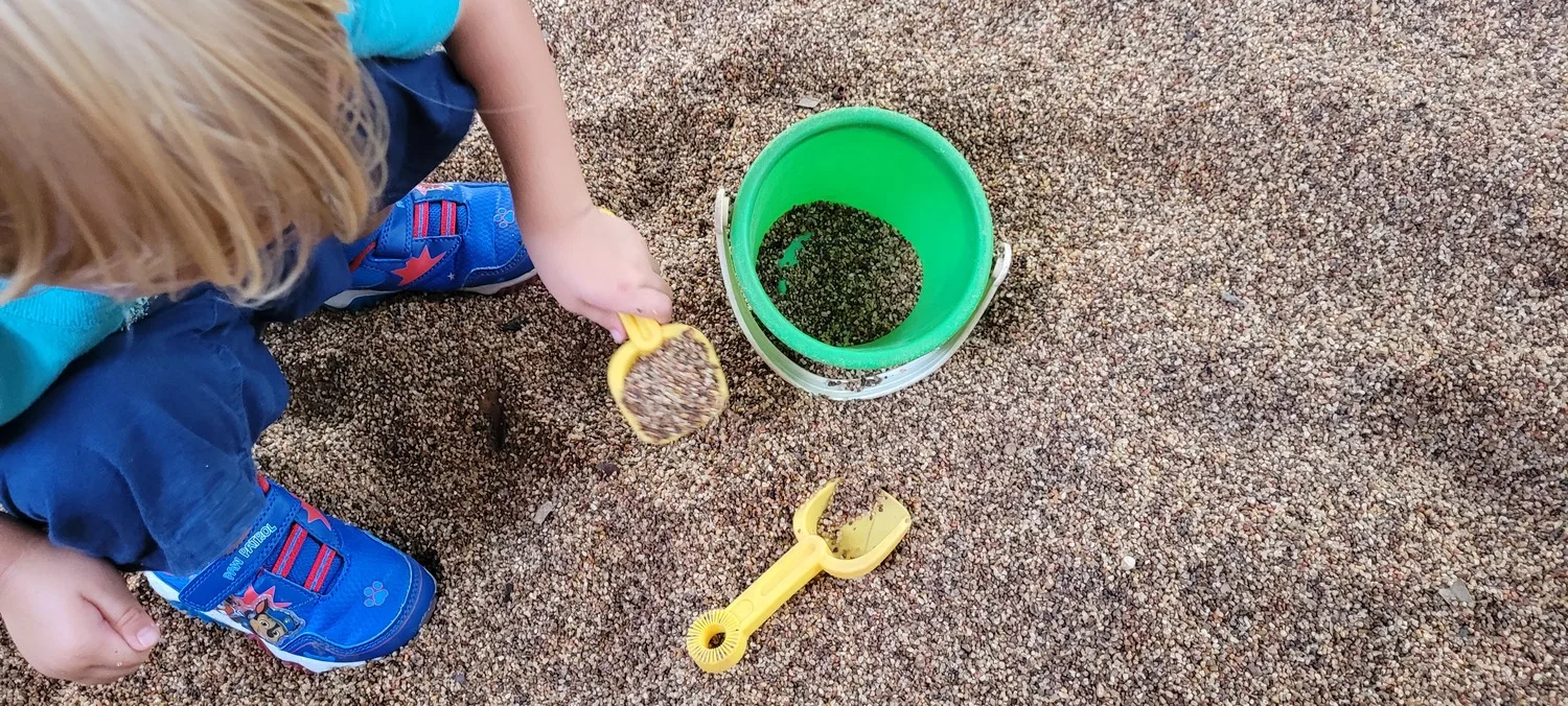 What To Do With A Toddler In Disney World! 2