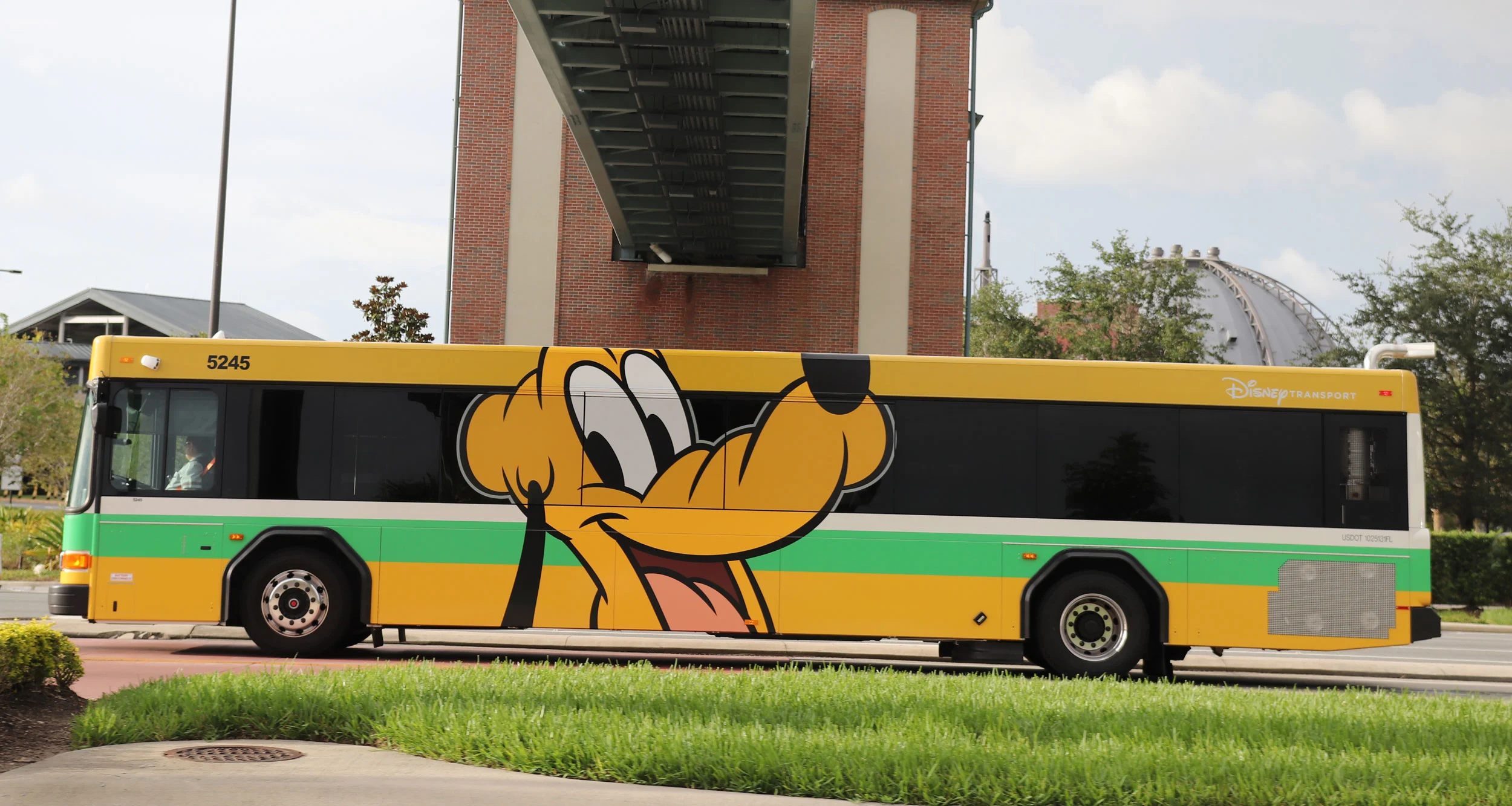 Everything you Need to Know About the Disney World Bus System 4