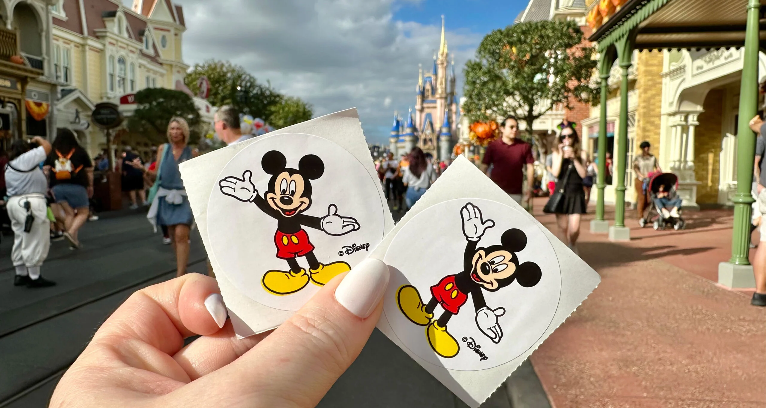 The Best Free Finds At Walt Disney World 4